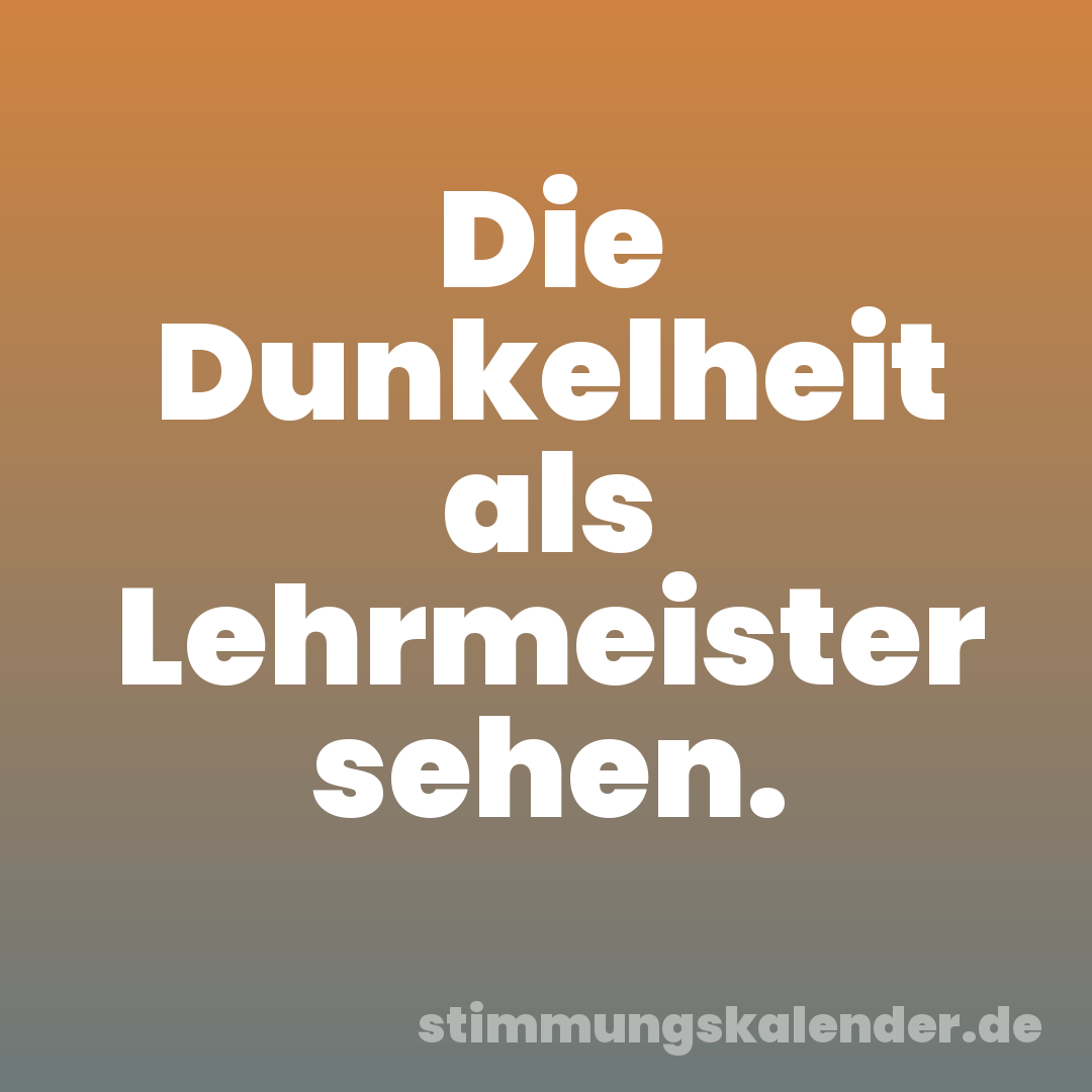Die Dunkelheit als Lehrmeister sehen.