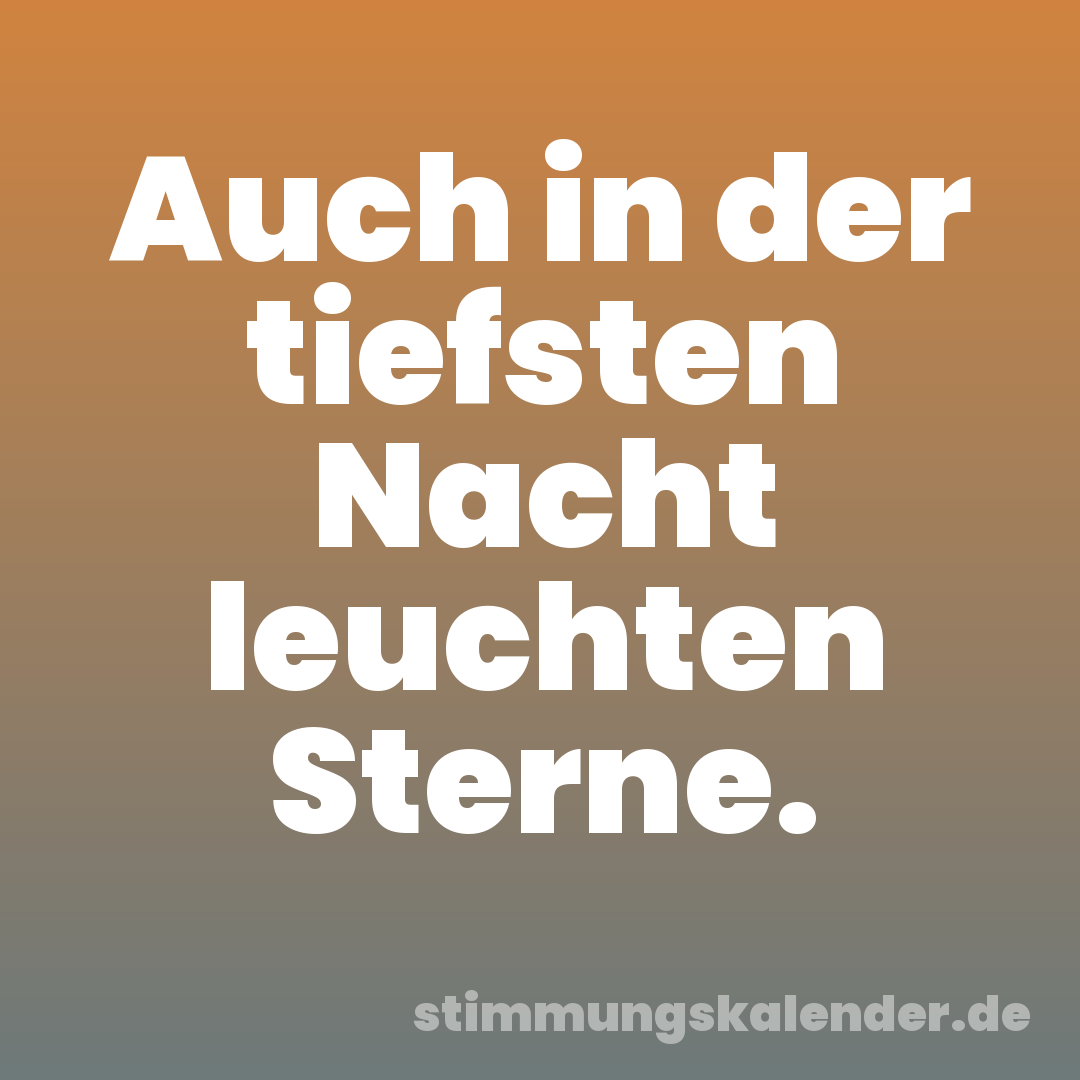 Auch in der tiefsten Nacht leuchten Sterne.