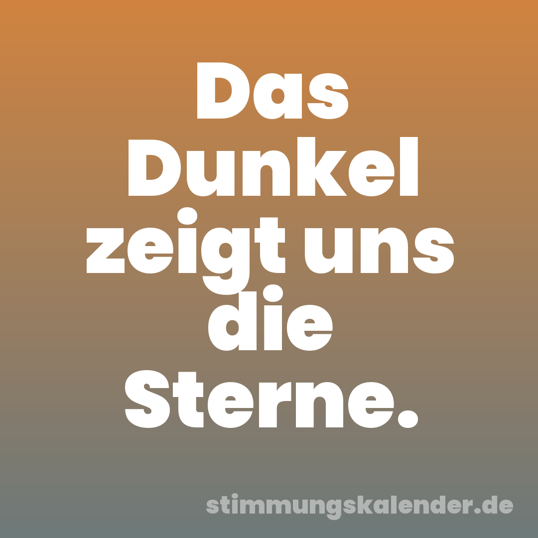 Das Dunkel zeigt uns die Sterne.