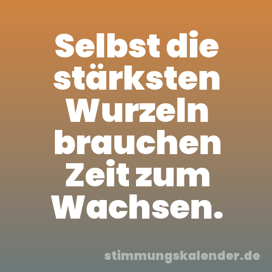 Selbst die stärksten Wurzeln brauchen Zeit zum Wachsen.