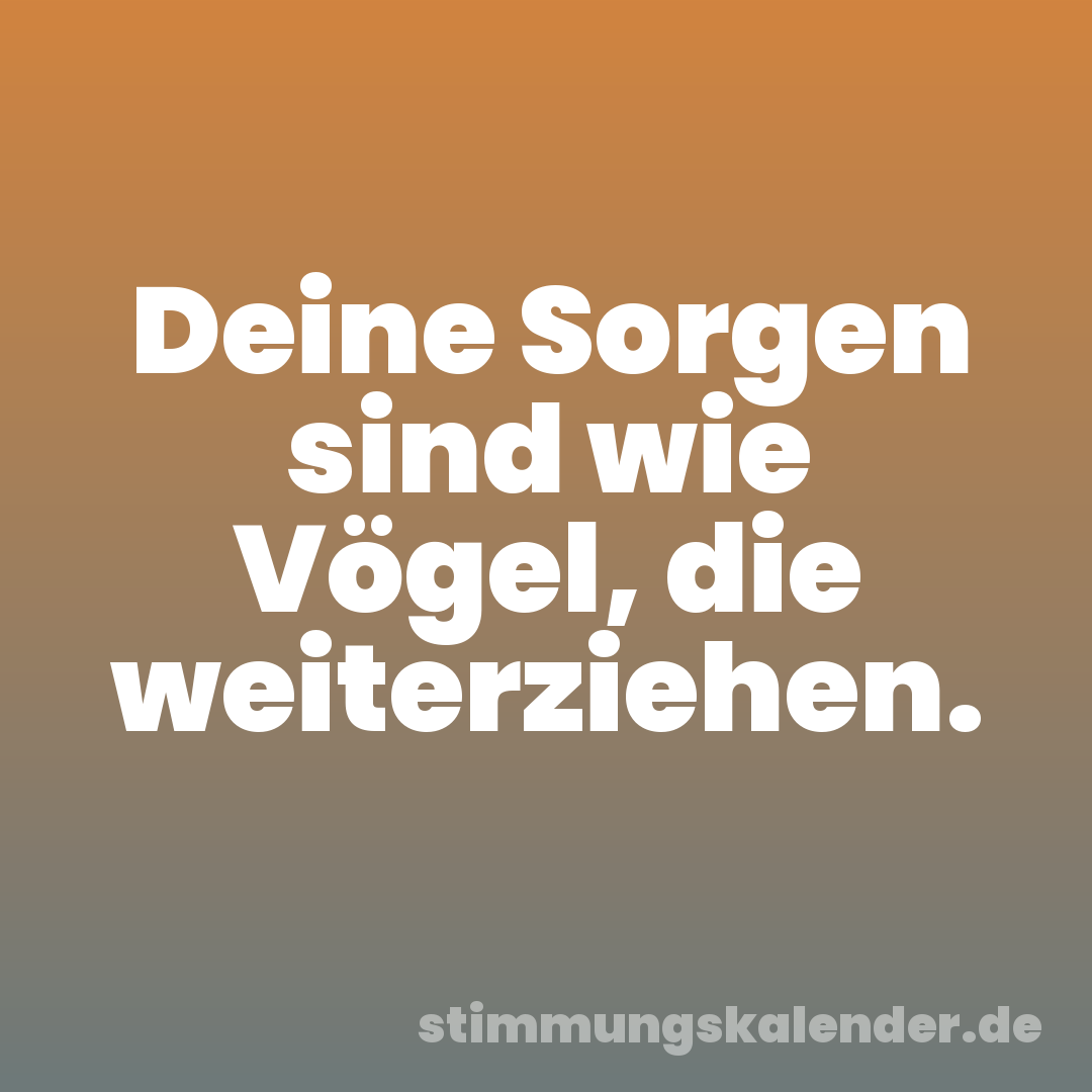 Deine Sorgen sind wie Vögel, die weiterziehen.