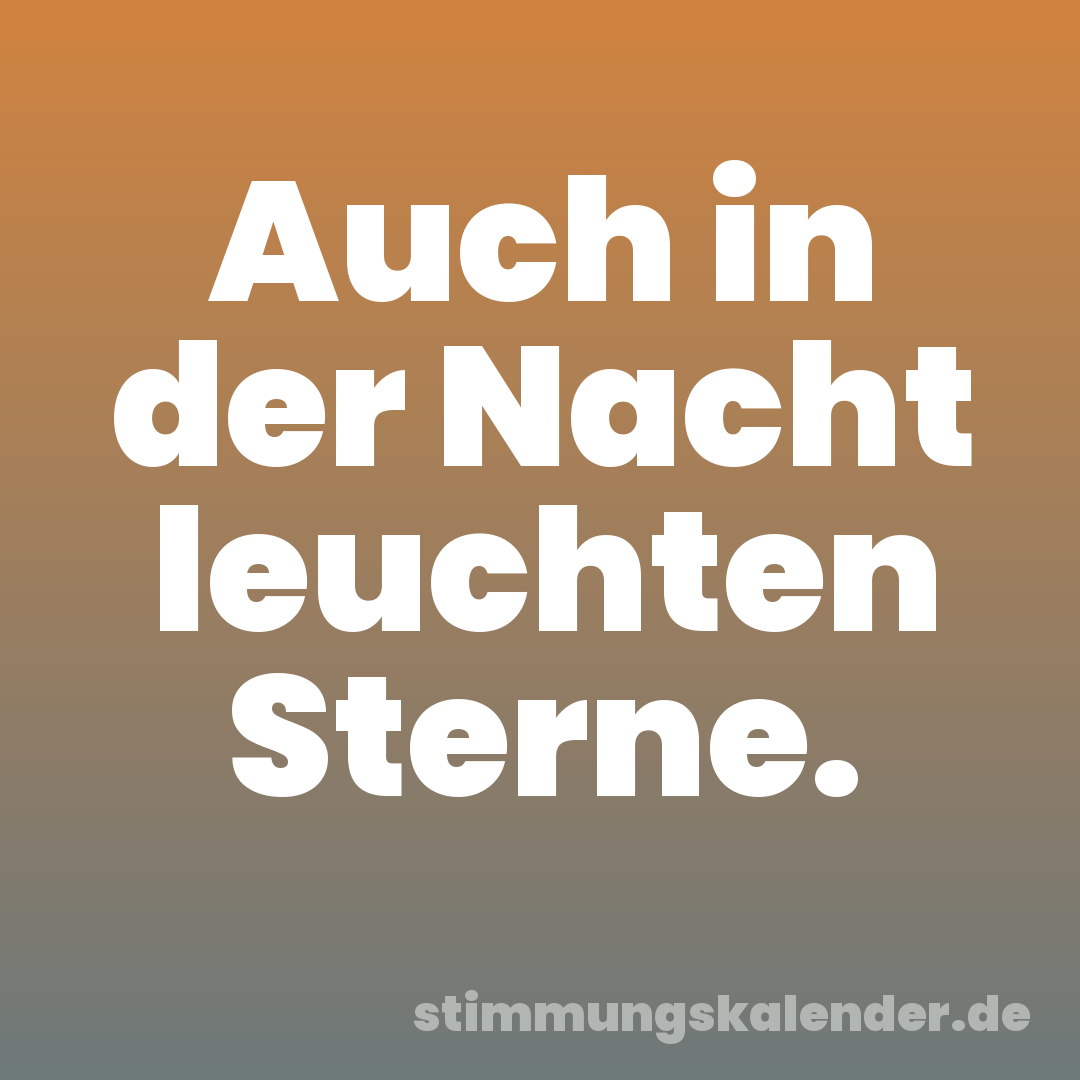 Auch in der Nacht leuchten Sterne.
