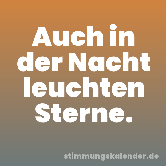 Auch in der Nacht leuchten Sterne.