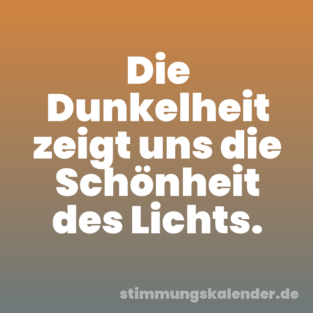 Die Dunkelheit zeigt uns die Schönheit des Lichts.
