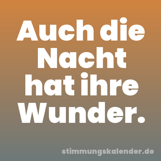 Auch die Nacht hat ihre Wunder.