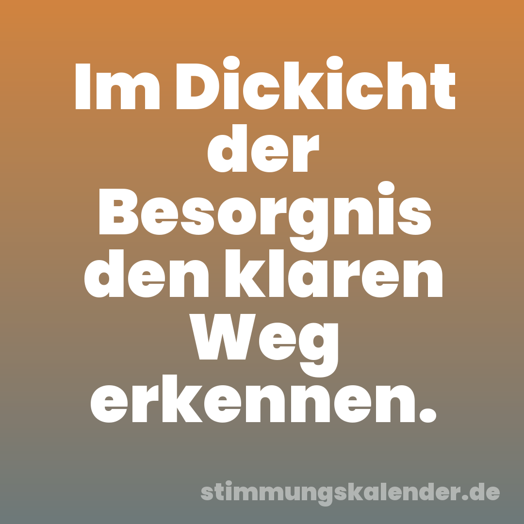 Im Dickicht der Besorgnis den klaren Weg erkennen.