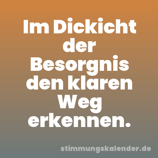 Im Dickicht der Besorgnis den klaren Weg erkennen.
