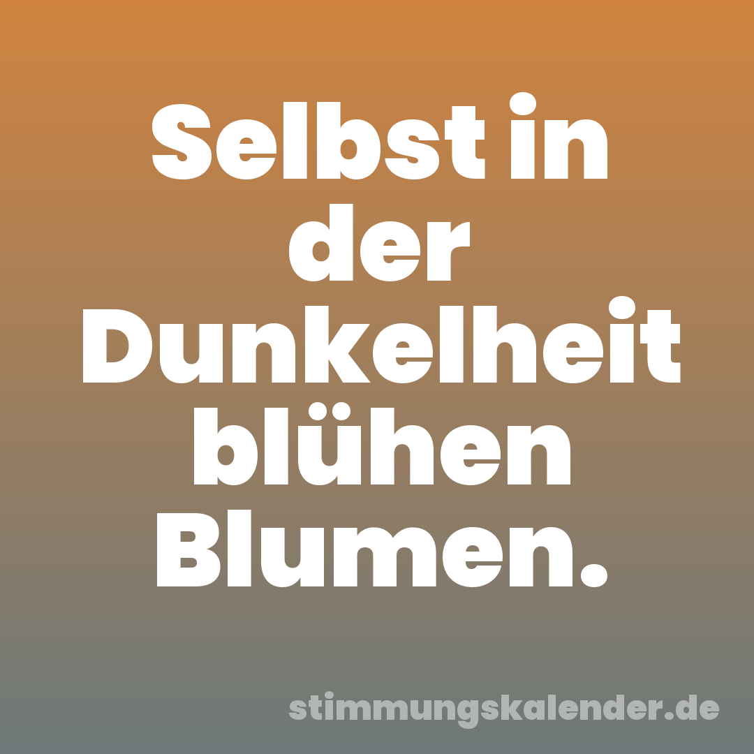 Selbst in der Dunkelheit blühen Blumen.