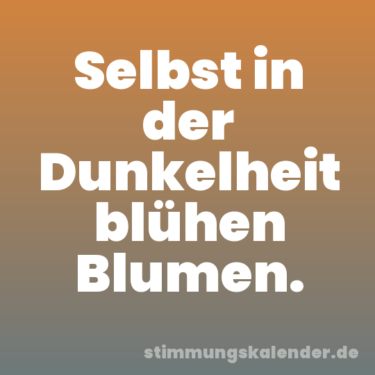 Selbst in der Dunkelheit blühen Blumen.