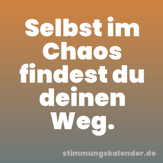Selbst im Chaos findest du deinen Weg.
