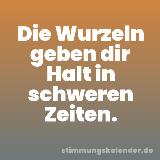 Die Wurzeln geben dir Halt in schweren Zeiten.