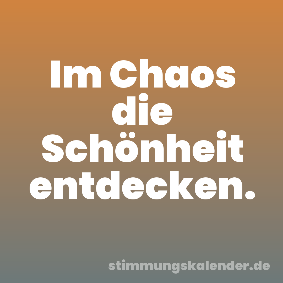 Im Chaos die Schönheit entdecken.