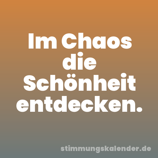 Im Chaos die Schönheit entdecken.