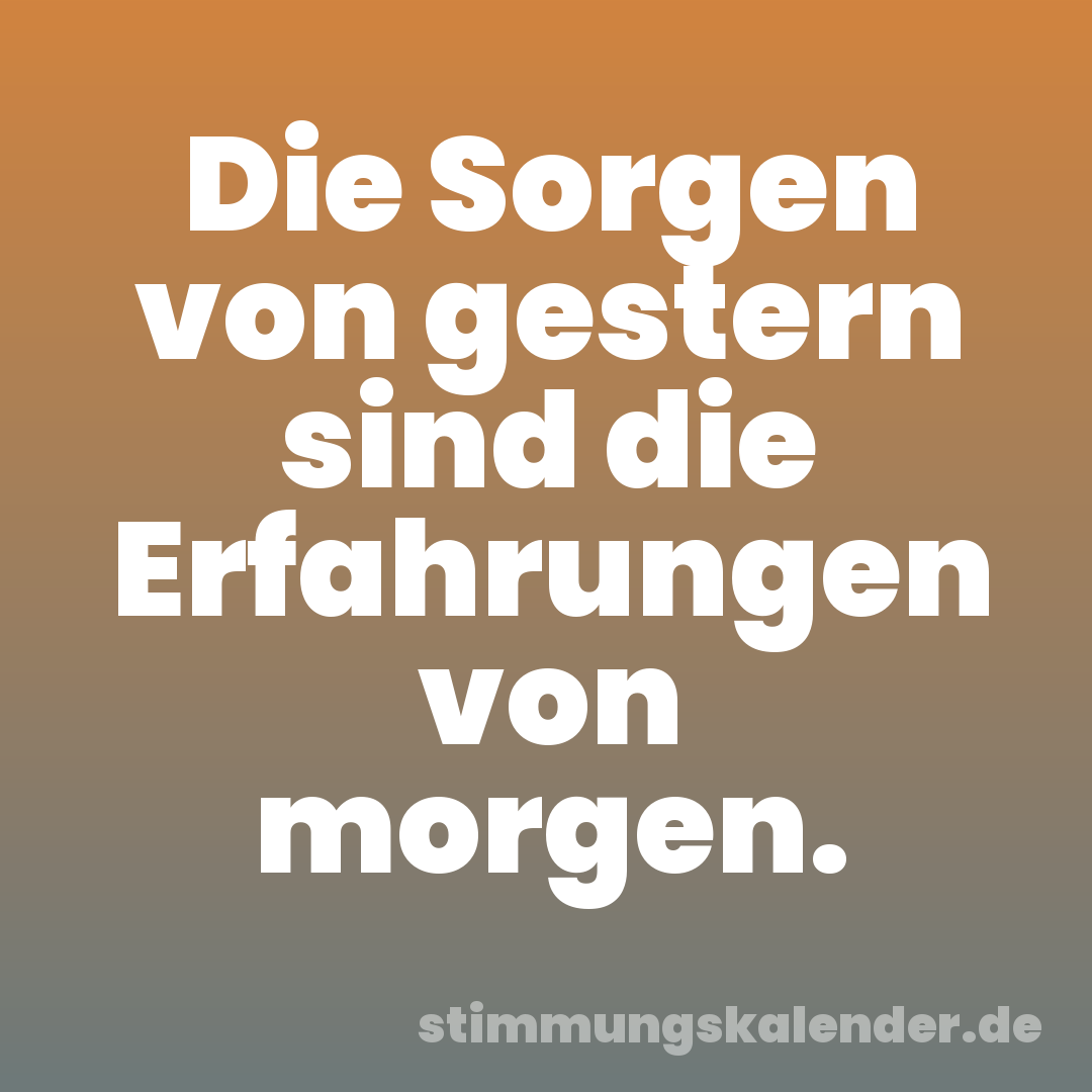 Die Sorgen von gestern sind die Erfahrungen von morgen.