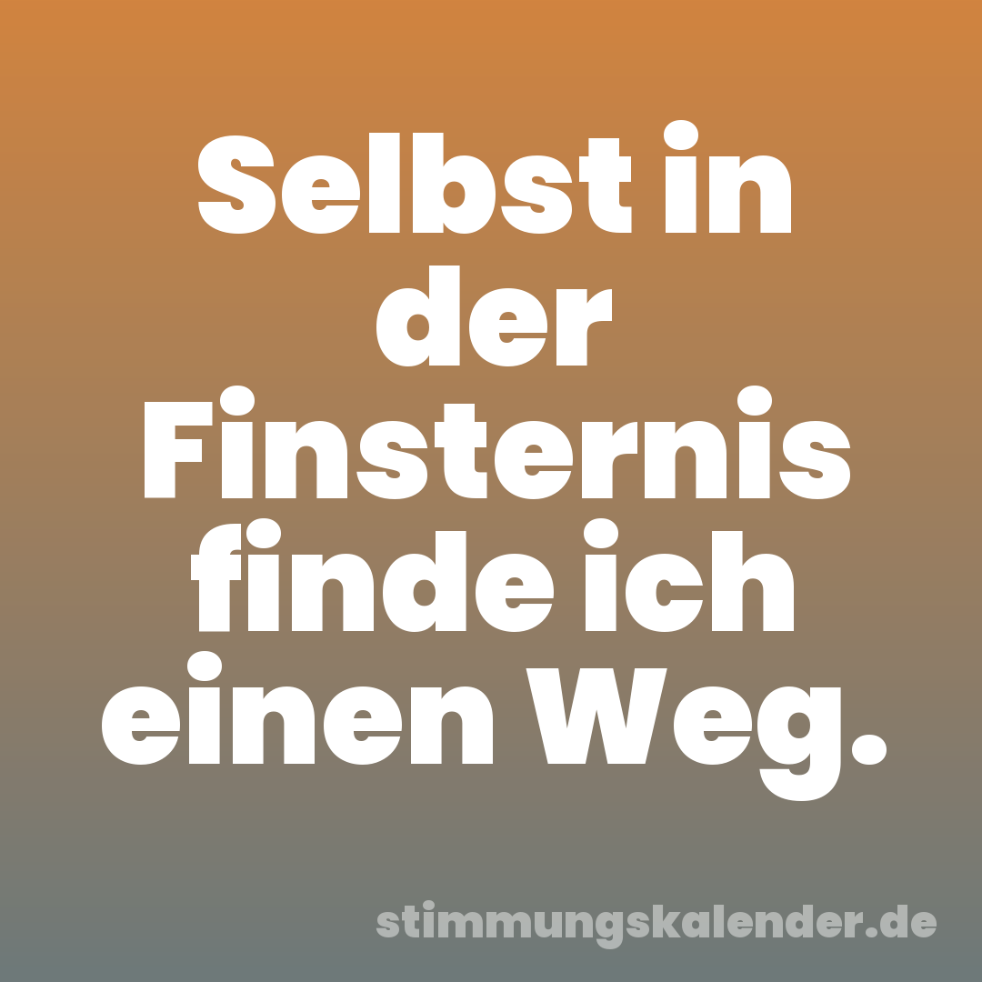 Selbst in der Finsternis finde ich einen Weg.