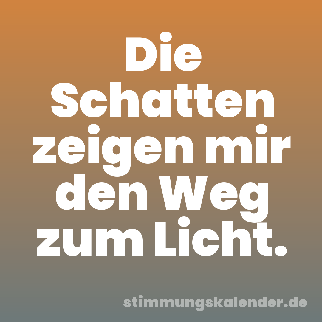 Die Schatten zeigen mir den Weg zum Licht.