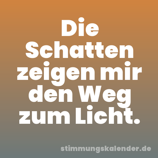 Die Schatten zeigen mir den Weg zum Licht.