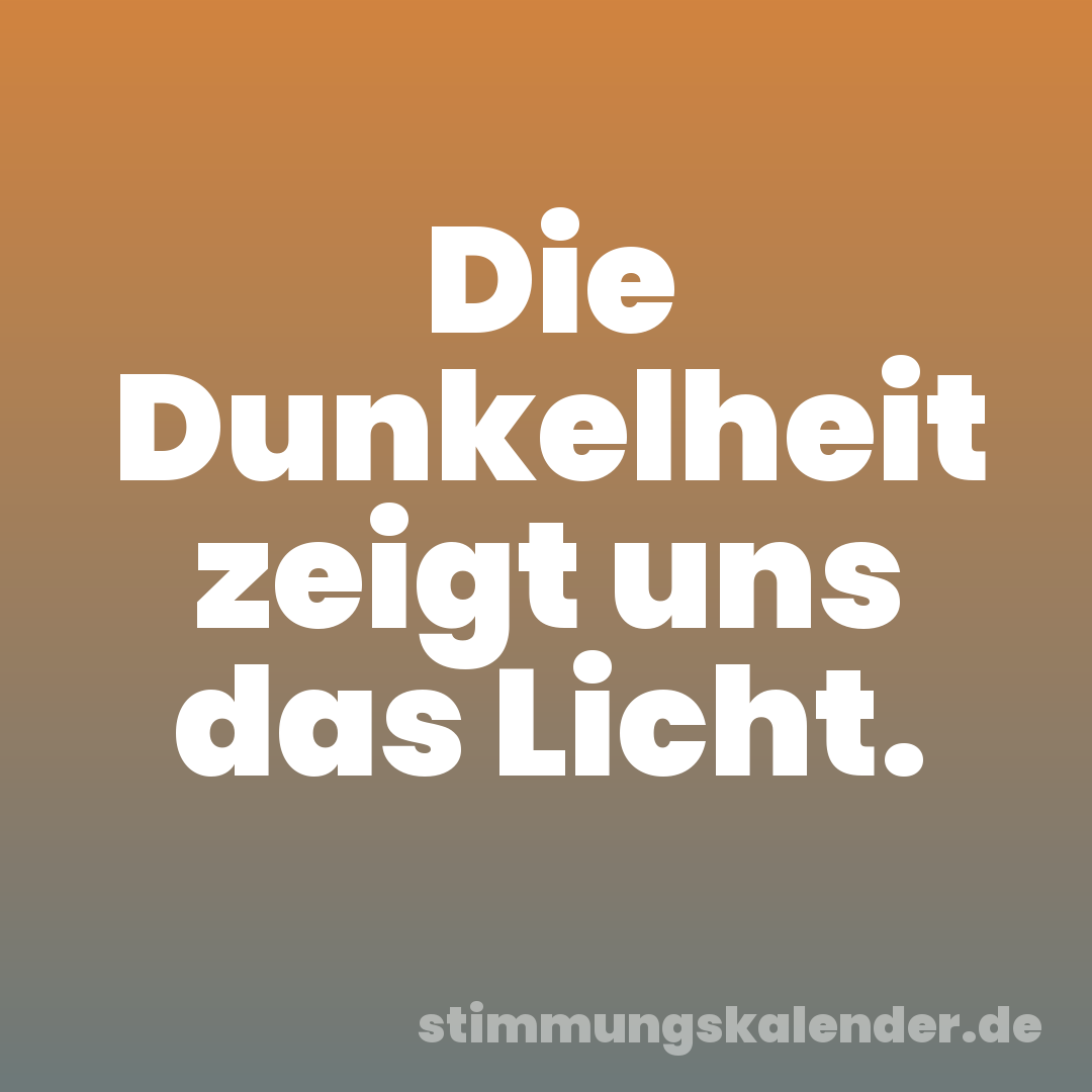 Die Dunkelheit zeigt uns das Licht.