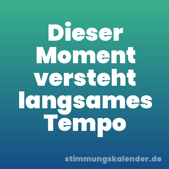 Dieser Moment versteht langsames Tempo