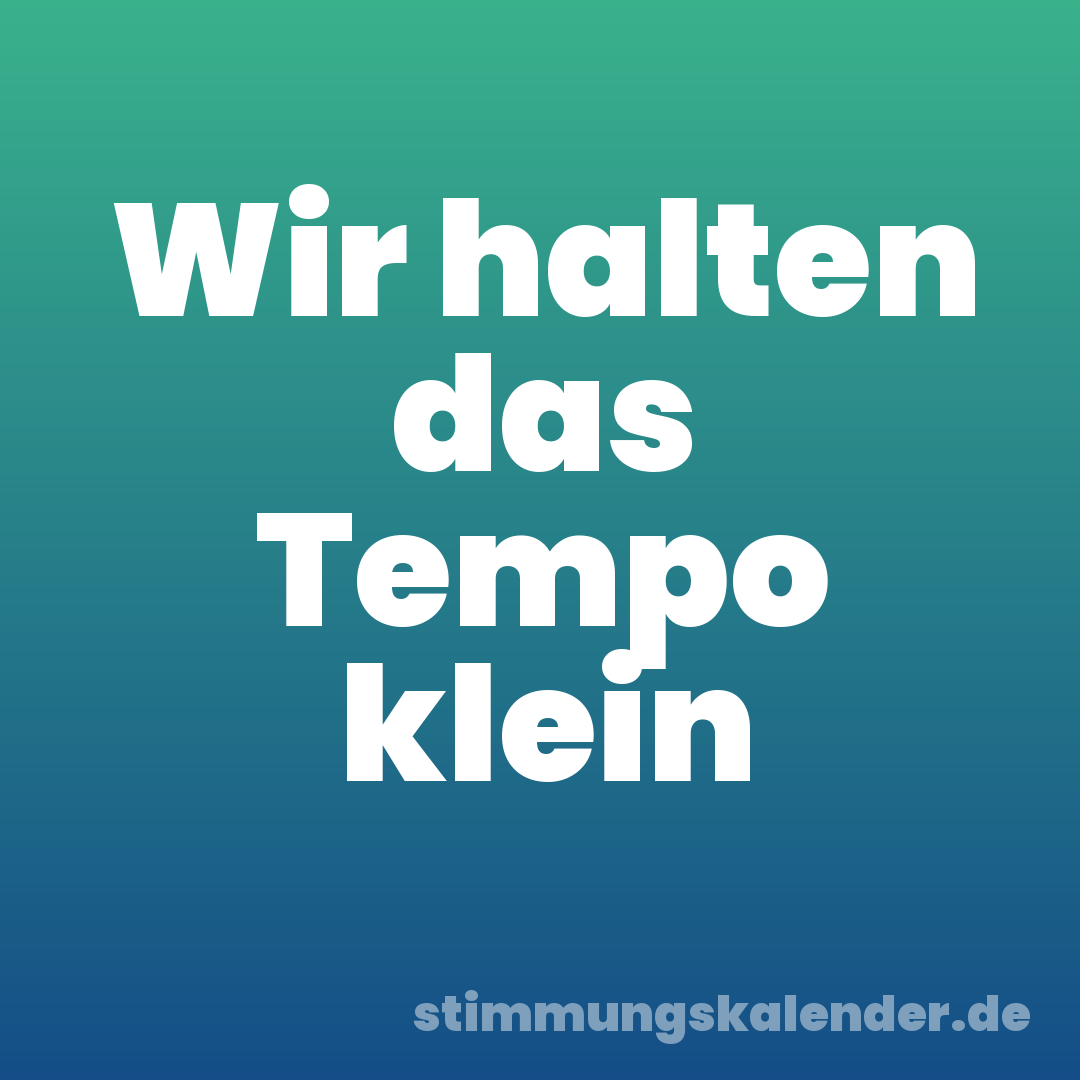 Wir halten das Tempo klein