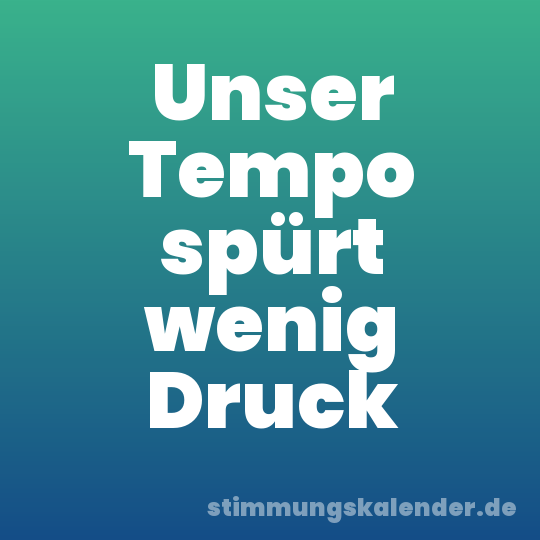 Unser Tempo spürt wenig Druck