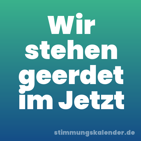 Wir stehen geerdet im Jetzt