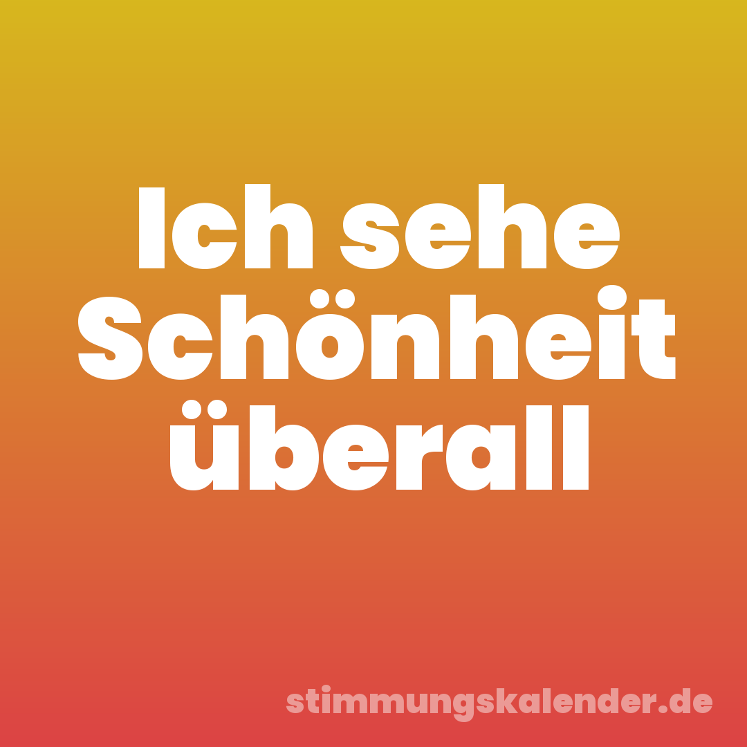 Ich sehe Schönheit überall
