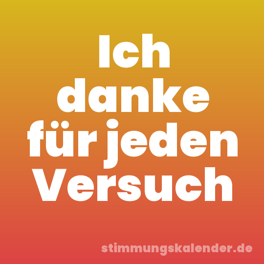 Ich danke für jeden Versuch