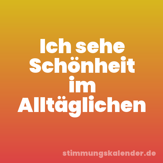 Ich sehe Schönheit im Alltäglichen