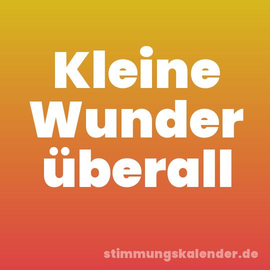 Kleine Wunder überall