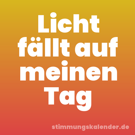 Licht fällt auf meinen Tag