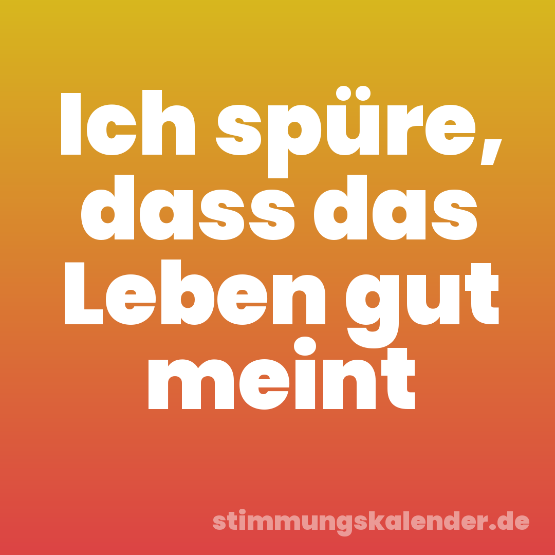 Ich spüre, dass das Leben gut meint