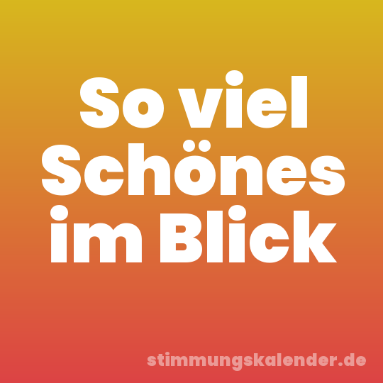 So viel Schönes im Blick