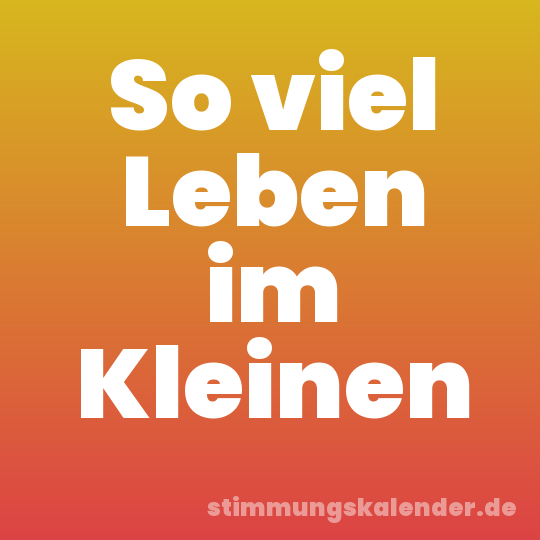 So viel Leben im Kleinen