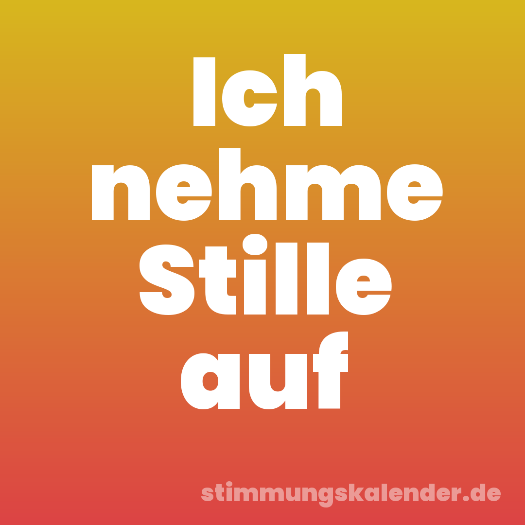 Ich nehme Stille auf