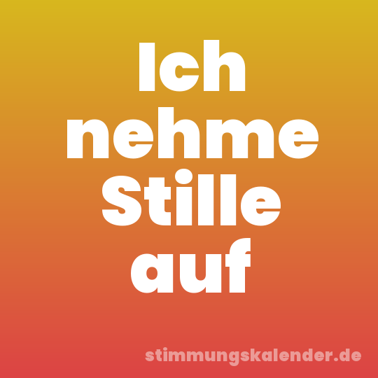 Ich nehme Stille auf