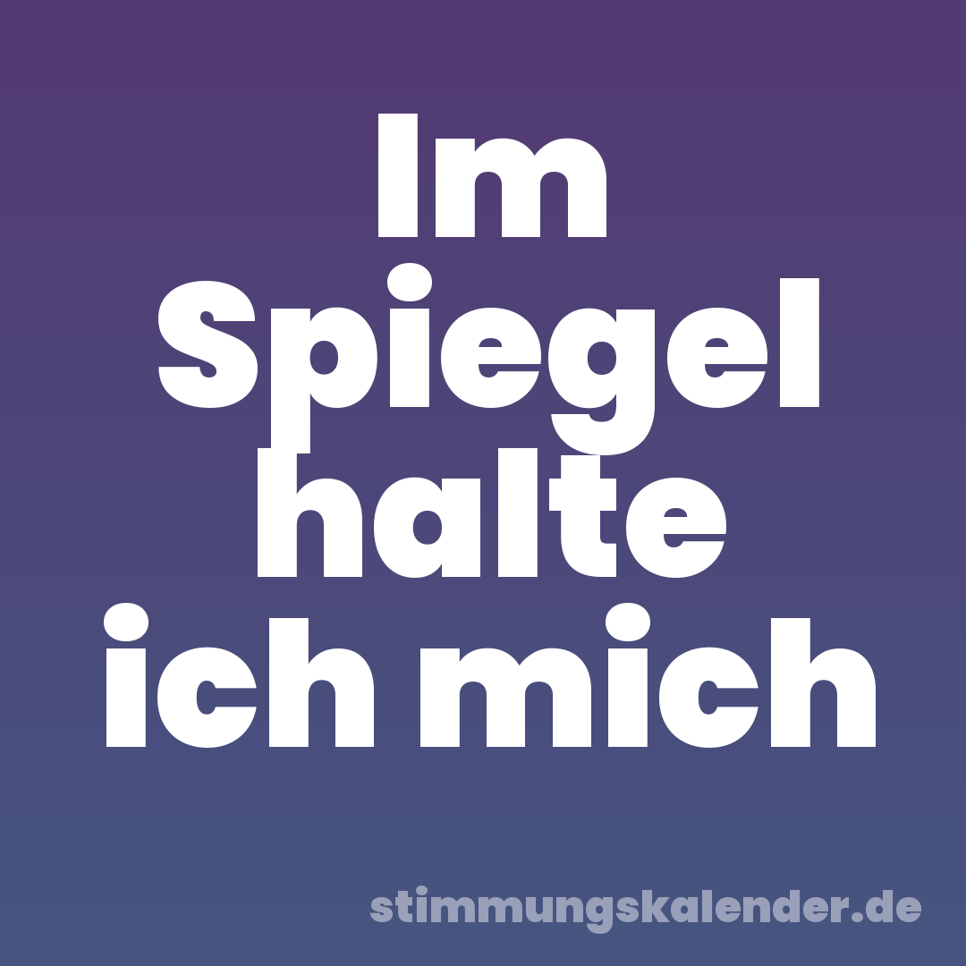Im Spiegel halte ich mich