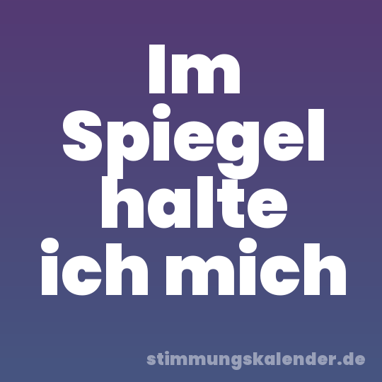 Im Spiegel halte ich mich