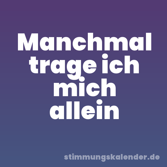 Manchmal trage ich mich allein