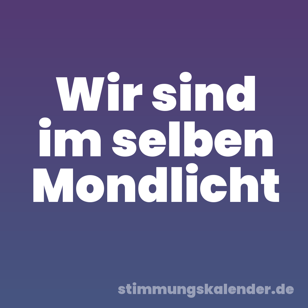 Wir sind im selben Mondlicht