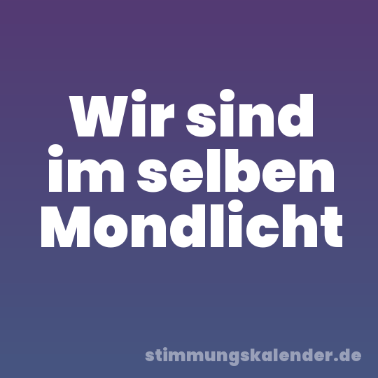 Wir sind im selben Mondlicht