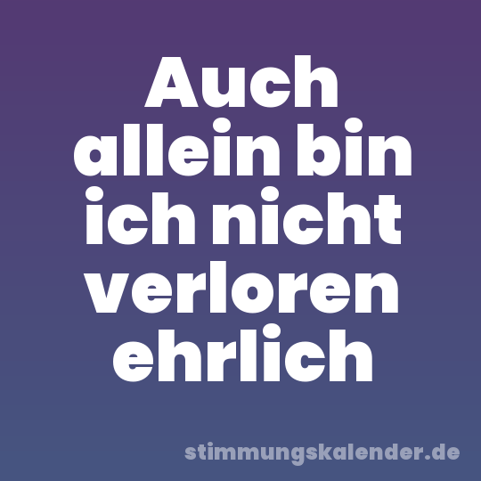 Auch allein bin ich nicht verloren ehrlich