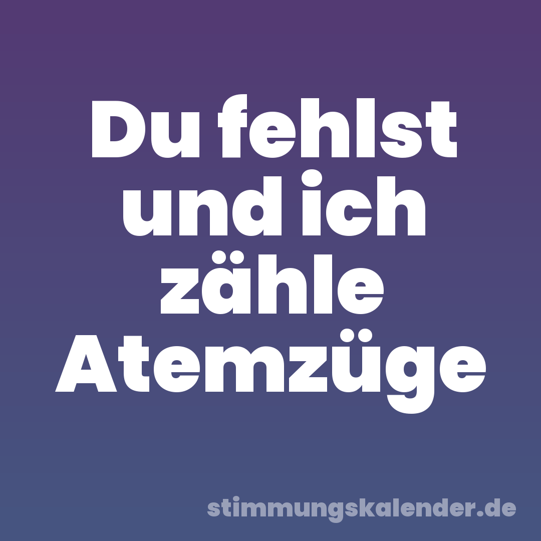 Du fehlst und ich zähle Atemzüge