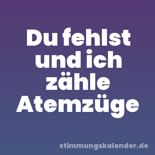 Du fehlst und ich zähle Atemzüge