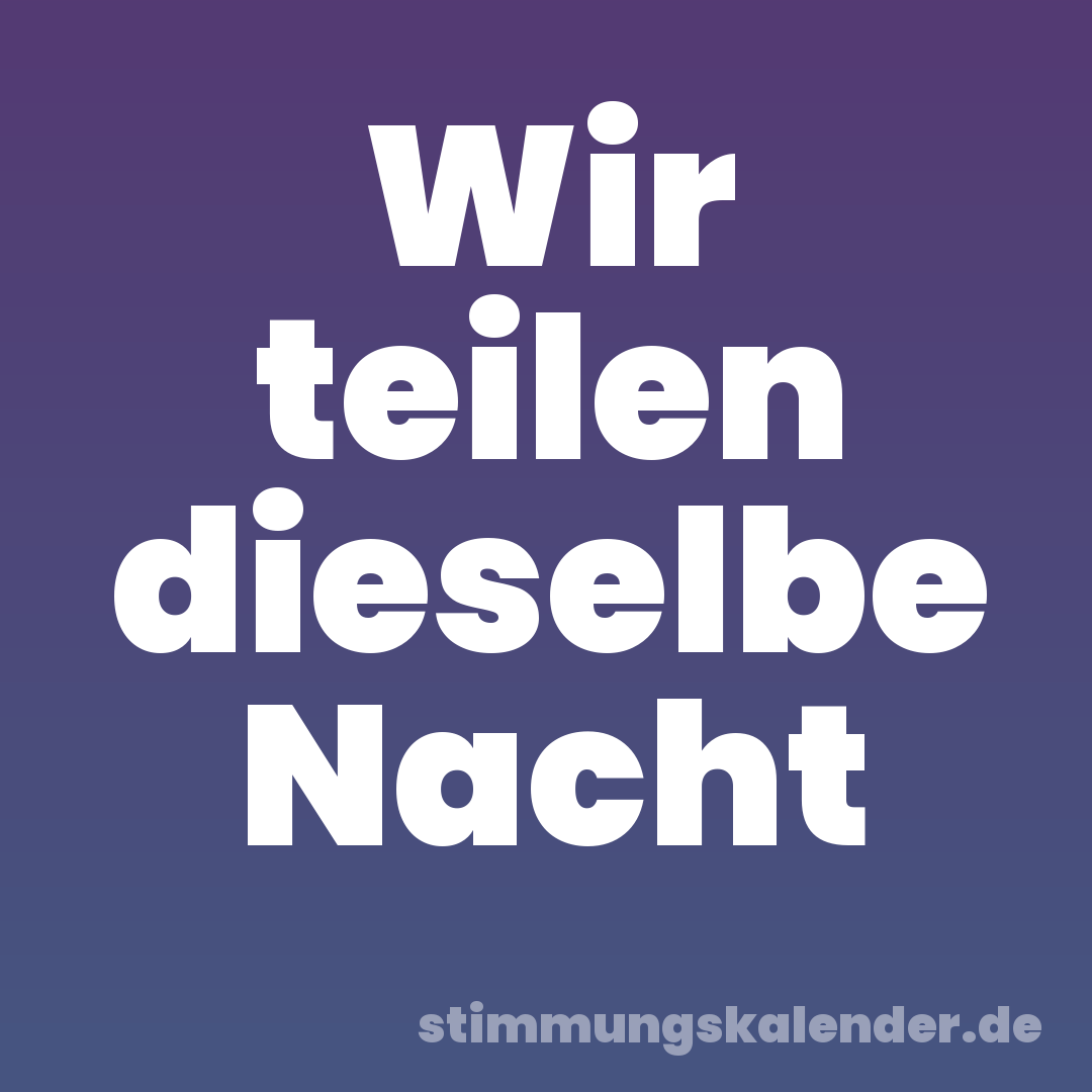 Wir teilen dieselbe Nacht