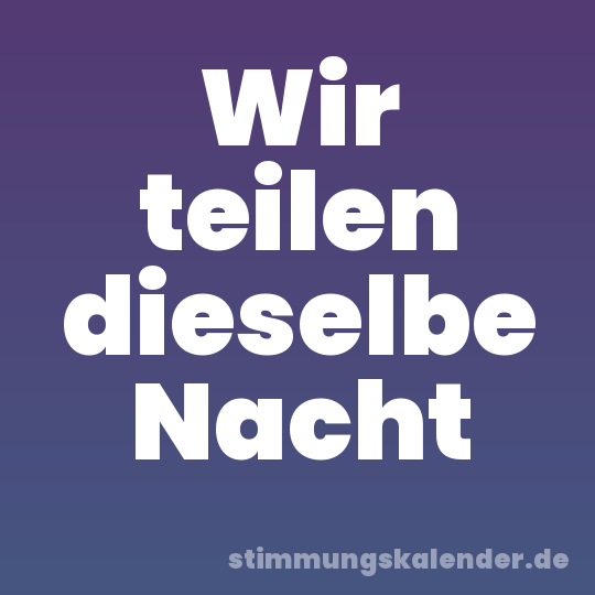 Wir teilen dieselbe Nacht