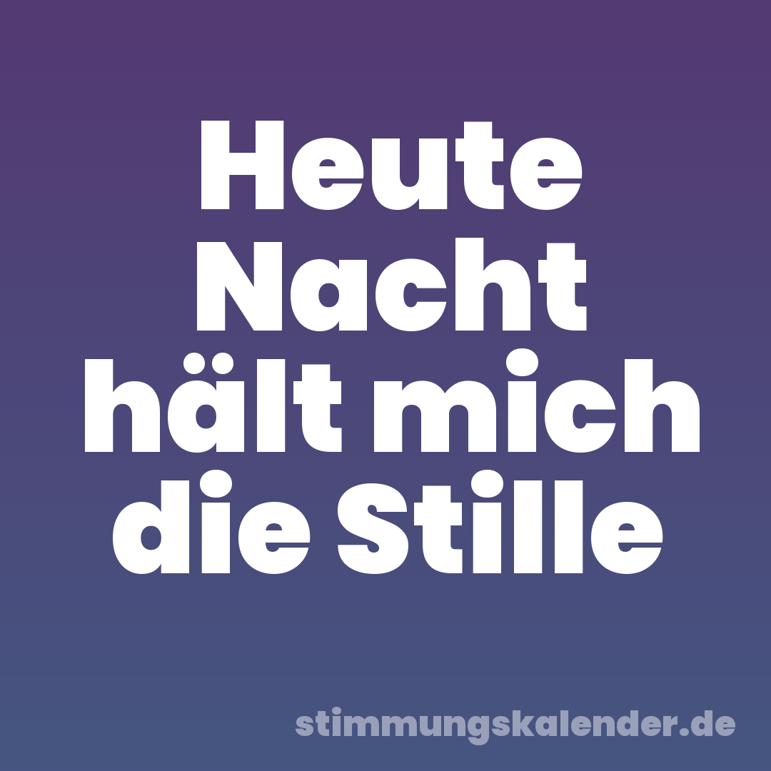 Heute Nacht hält mich die Stille