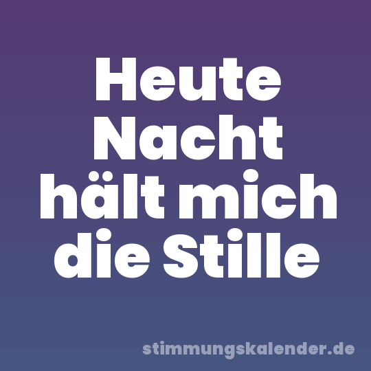 Heute Nacht hält mich die Stille