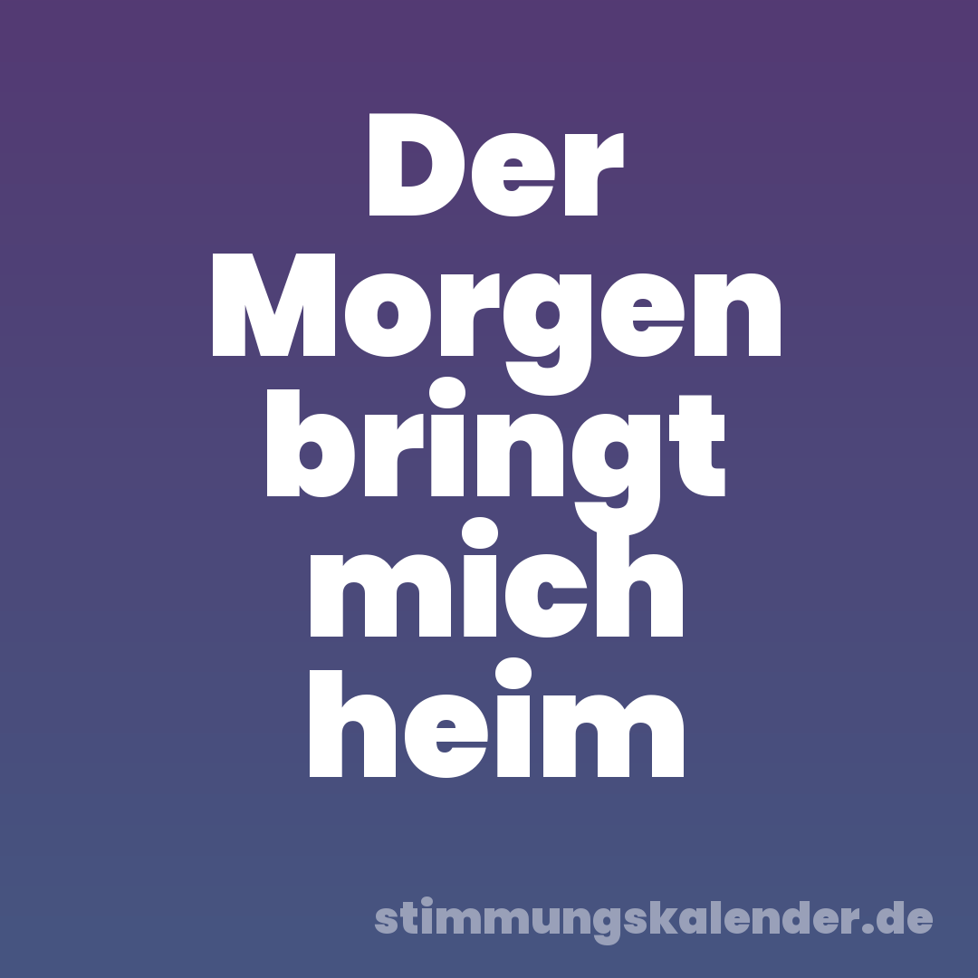 Der Morgen bringt mich heim