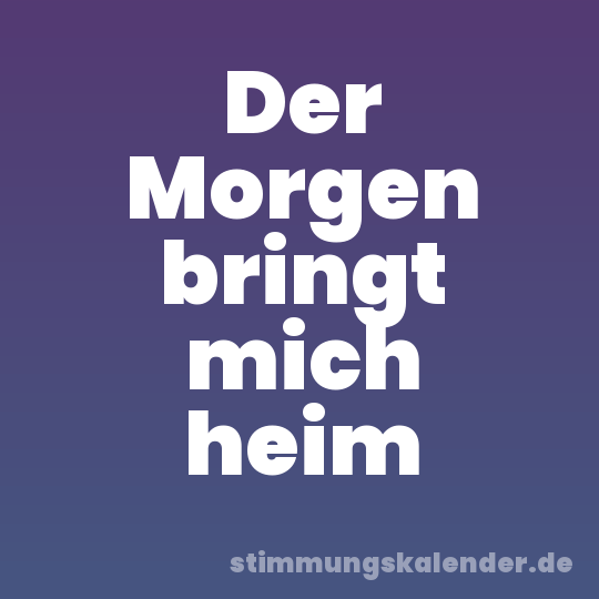 Der Morgen bringt mich heim